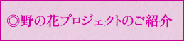 野の花プロジェクト