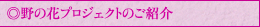 ̉ԃvWFNĝЉ